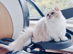 -美联众合动物医院·24h转诊中心