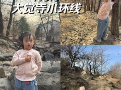 -大觉寺-停车场