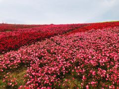 -天河潭旅游度假区