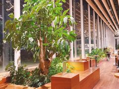 -Seesaw Coffee(朝阳大悦城店)