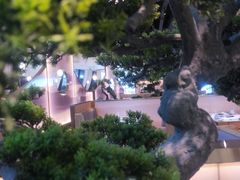 -马家斑.鲜鱼火锅(松湖万科店)