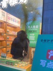 -青稚护手霜QINGZHI