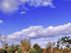 -漩门湾国家湿地公园