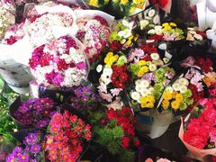 -秦美花卉(天朗·莱茵小城2期店)