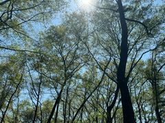 -西溪南古村落