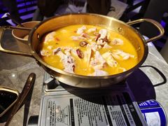 -Darling Queen·Mini·Live·House