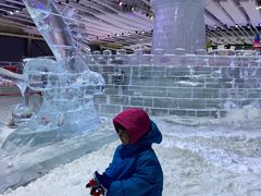 -宁波冰雪大世界(北仑区)