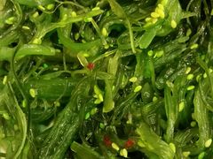 -萨莉亚意式餐厅(黄埔大沙地店)
