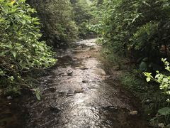 -广州市石门国家森林公园