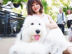 -TrueLove @ Neverland (Husky Cafe)