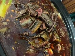 -金海椒罐罐鲢鱼(东方桂苑店)