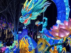 -淄博花灯齐彩城