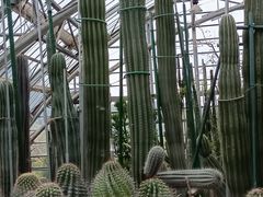 -南山植物园