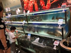 水产区-盒马鲜生(红莲店)