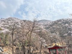 -妙峰山风景名胜区