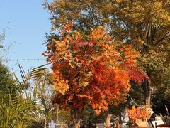 -HERRE·FARM 赫尔露营农场·团建聚会包场