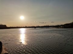 -大兴滨河森林公园