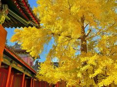 -承恩寺