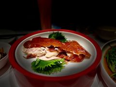 汴京烤鸭-阿五黄河大鲤鱼(海尚店)