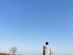 -君乐宝优致牧场