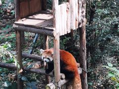 -昆明动物园