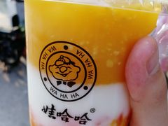 AD芒芒波波冰-娃哈哈·奶茶(武林店)