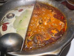 -九鼎轩脆毛肚火锅(三钢里店)