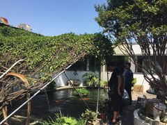 -寻味顺德·南记酒家·传统顺德菜·鱼生(广源路店)