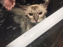 -MOLLY'S萌宠生活馆