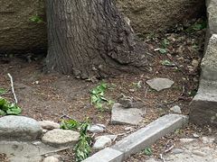 -云岫谷游猎自然风景区