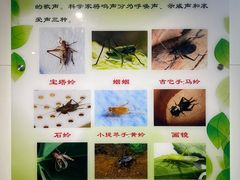 -上海昆虫博物馆