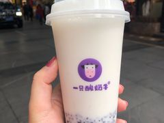 -一只酸奶牛(八一路店)