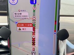 -广东惠东海龟国家级自然保护区
