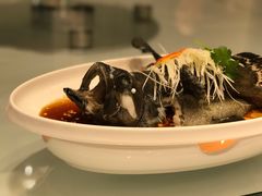 -千灯盛汇·头牌粤菜(致越优城店)