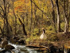 -叠溪松坪沟景区