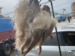 -何记羊汤馆(丽水佳源店)