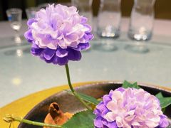 -新渝城·始于2000年(淘金店)
