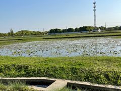 -嘉北郊野公园