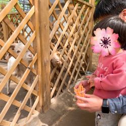 -萌宠亲子动物乐园(槐房万达店)