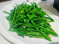 蒜蓉炒树菜-美极鲜食坊(宝安南路店)