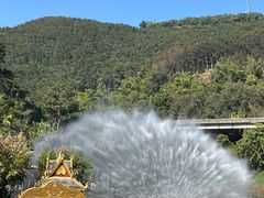 -西双版纳原始森林公园