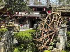 -青城甲(青城山店)