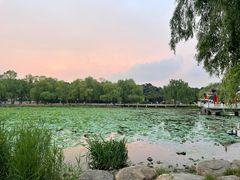 -长春市南湖公园