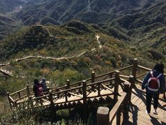 -大岭沟猕猴桃谷风景区