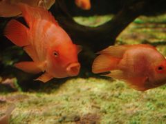 -太平洋海底世界