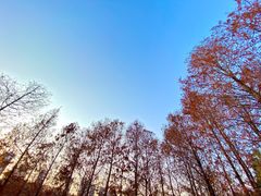 -厦门园林博览苑