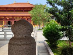 -三水森林公园