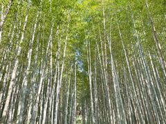 -九龙潭景区