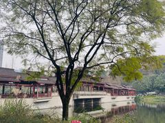 -重庆彩云湖湿地公园