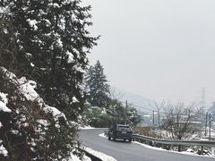 -四明山国家森林公园